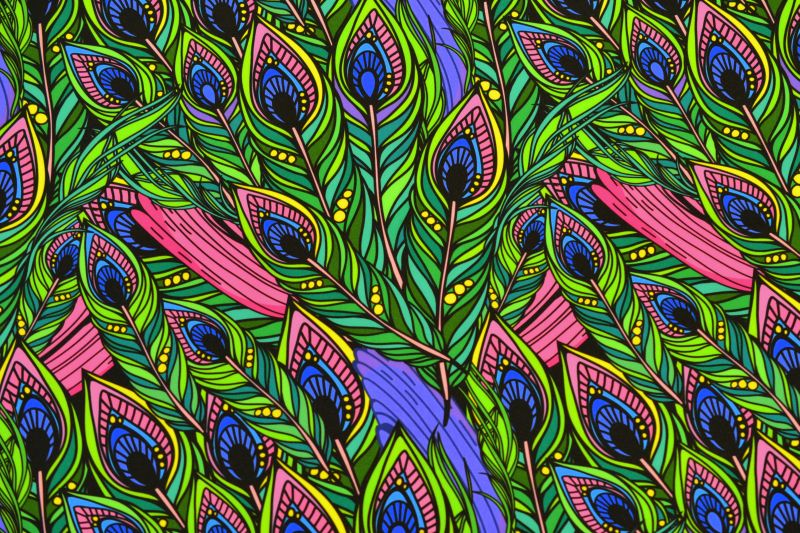 Softshell - PAVÍ PERA